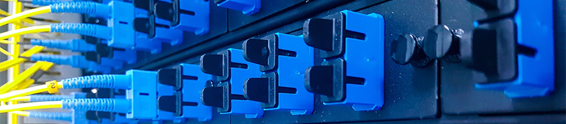 Close-up image of a fiber optic adapter panel with blue adapter ports and yellow fiber optic cables connected, showcasing a professional and organized network setup.