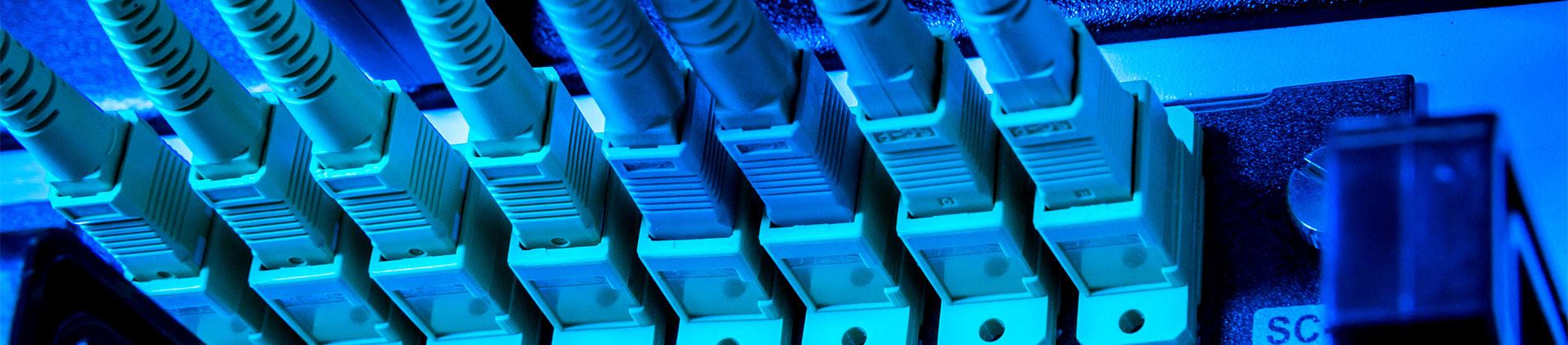 Close-up image of fiber optic connectors plugged into a patch panel, illuminated with blue lighting, showcasing the precision and organization of a high-speed fiber optic network system.