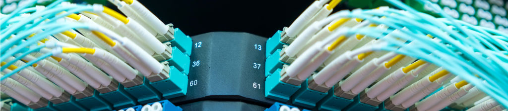 Many OM4 fiber patch cables connected to a fiber distribution panel.