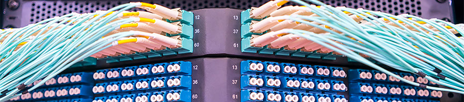 Close-up image of a fiber optic patch panel with neatly connected aqua-colored OM4 fiber optic cables and adapters, showcasing a professional and organized high-speed network setup.