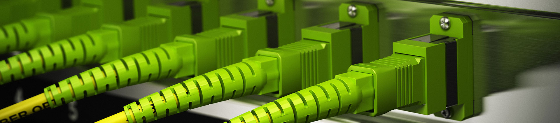Close-up of vibrant green OM5 fiber optic patch cables securely connected to a high-density patch panel.