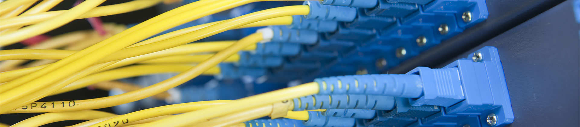 A close-up view of yellow OS2 fiber optic patch cables connected to blue fiber optic adapters in a networking setup, showcasing a clean and organized data transmission configuration.