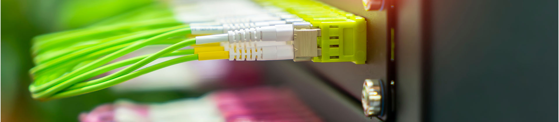 A close-up image of green fiber optic cables securely connected to a bright green fiber patch panel, showcasing precise cable management and advanced networking technology.