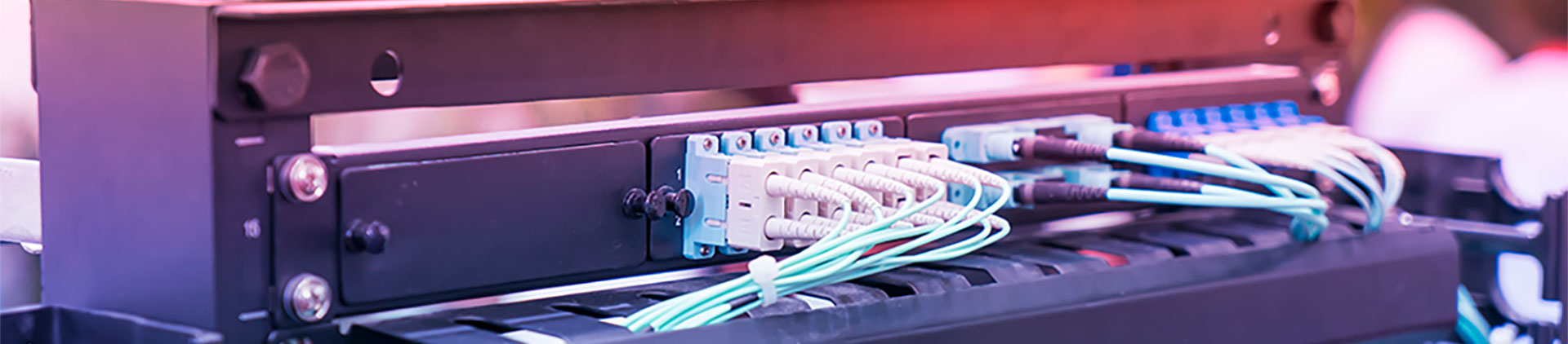 Close-up image of a fiber optic patch panel with multiple connected cables and keystone modules, featuring neatly arranged aqua and black connectors in a professional network setup.