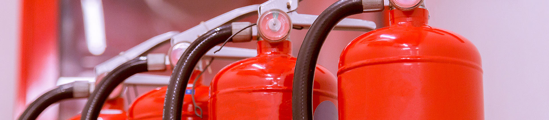 A close-up of vibrant red fire extinguishers neatly lined up against a soft pink background.