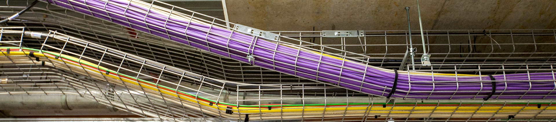 Image of structured cabling installed in a ceiling-mounted wire mesh cable tray system, featuring purple, yellow, green, and other colored cables neatly bundled and routed in an organized manner.