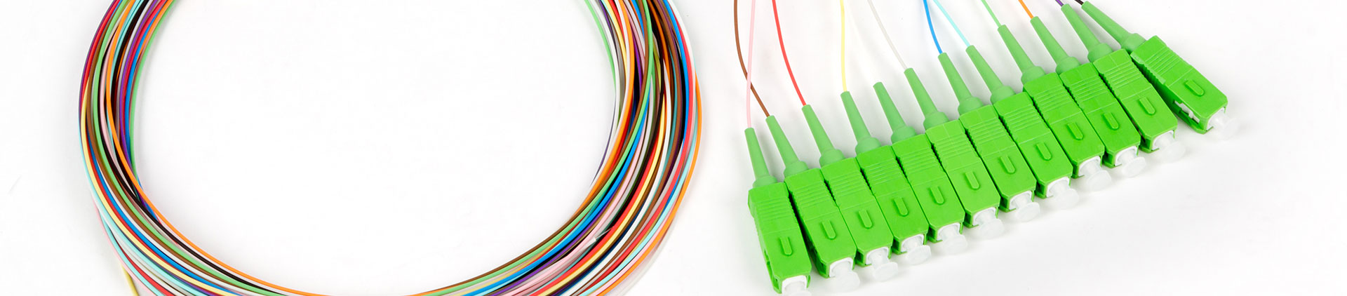 Close-up image of a bundle of colorful fiber optic pigtails coiled neatly next to green SC/APC connectors, showcasing precision and organization for fiber optic network installations.