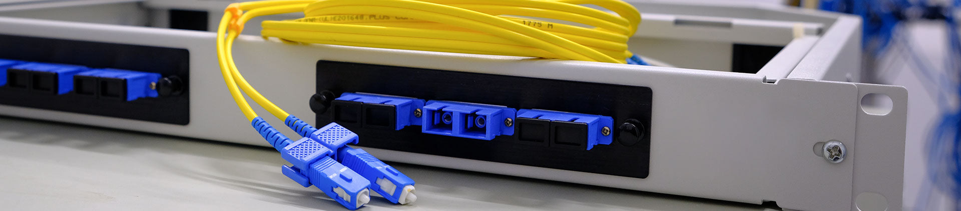 Close-up of a rack-mounted fiber optic panel with neatly organized yellow fiber optic cables connected to blue adapter ports.