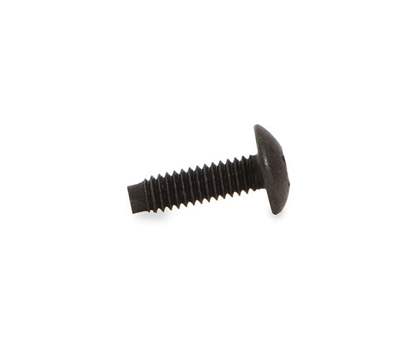 Close-up of a 10-32 rack screw against a white backdrop