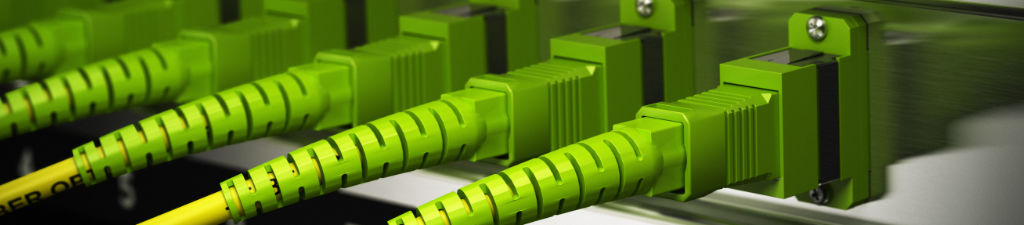 A row of green fiber cords connected to a fiber adapter plate.