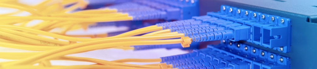 A row of single-mode patch cables plugged into a patch panel.