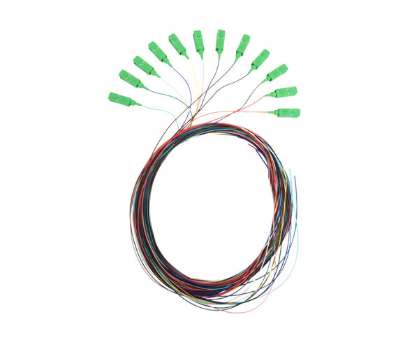 A 2-meter 12-strand single-mode APC SC fiber optic pigtail without a jacket, displaying color-coded fibers
