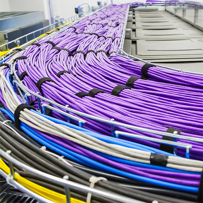 Bundles of purple, blue, and gray cables on a conveyor belt in an industrial setting.