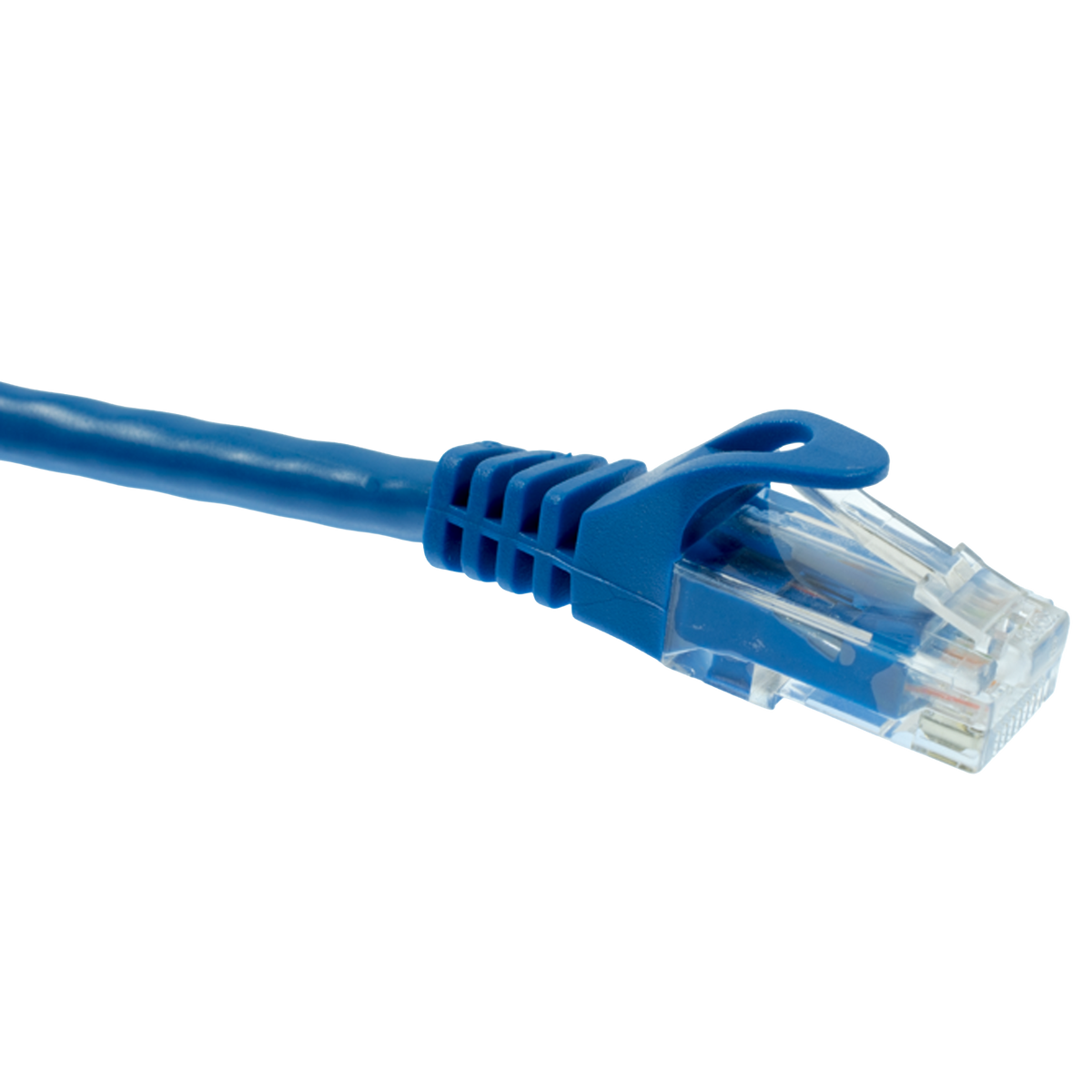 Blue Cat5e Ethernet cable with clear connector on a white background