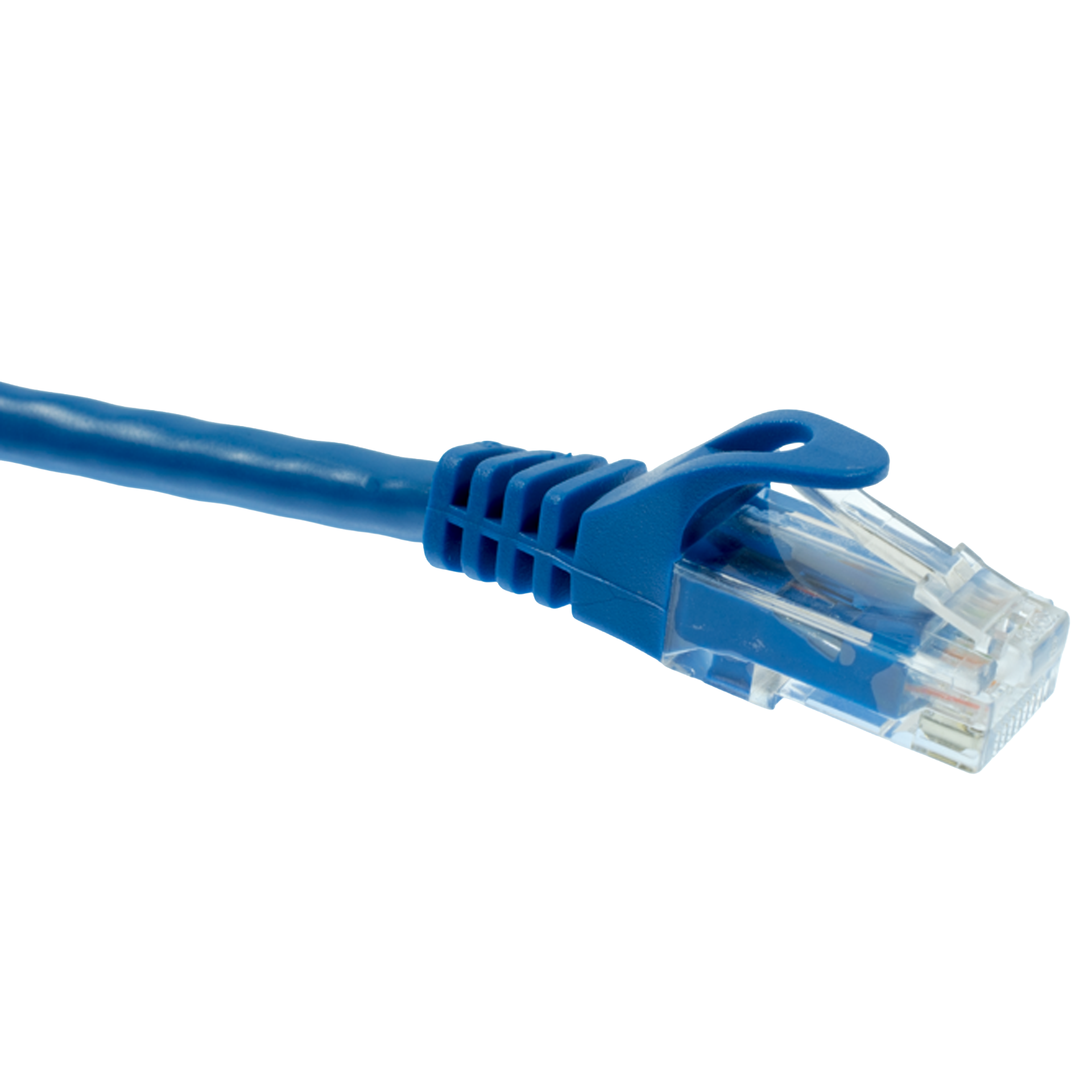 Blue Cat5e Ethernet cable with clear connector on a white background