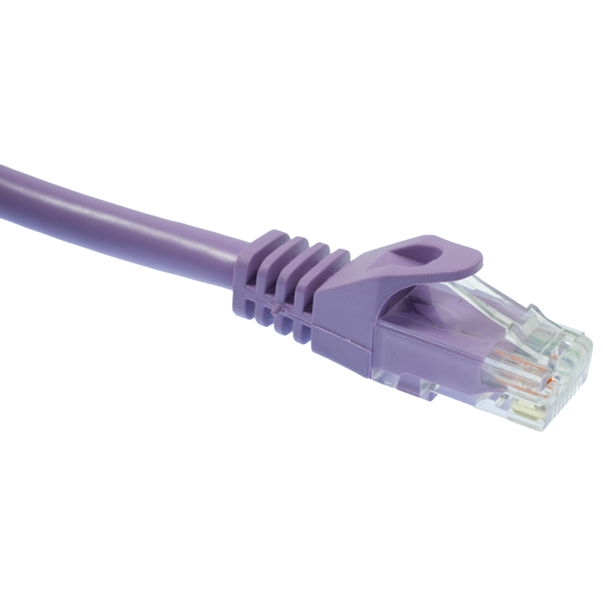 Purple Cat5e Ethernet cable on a white background