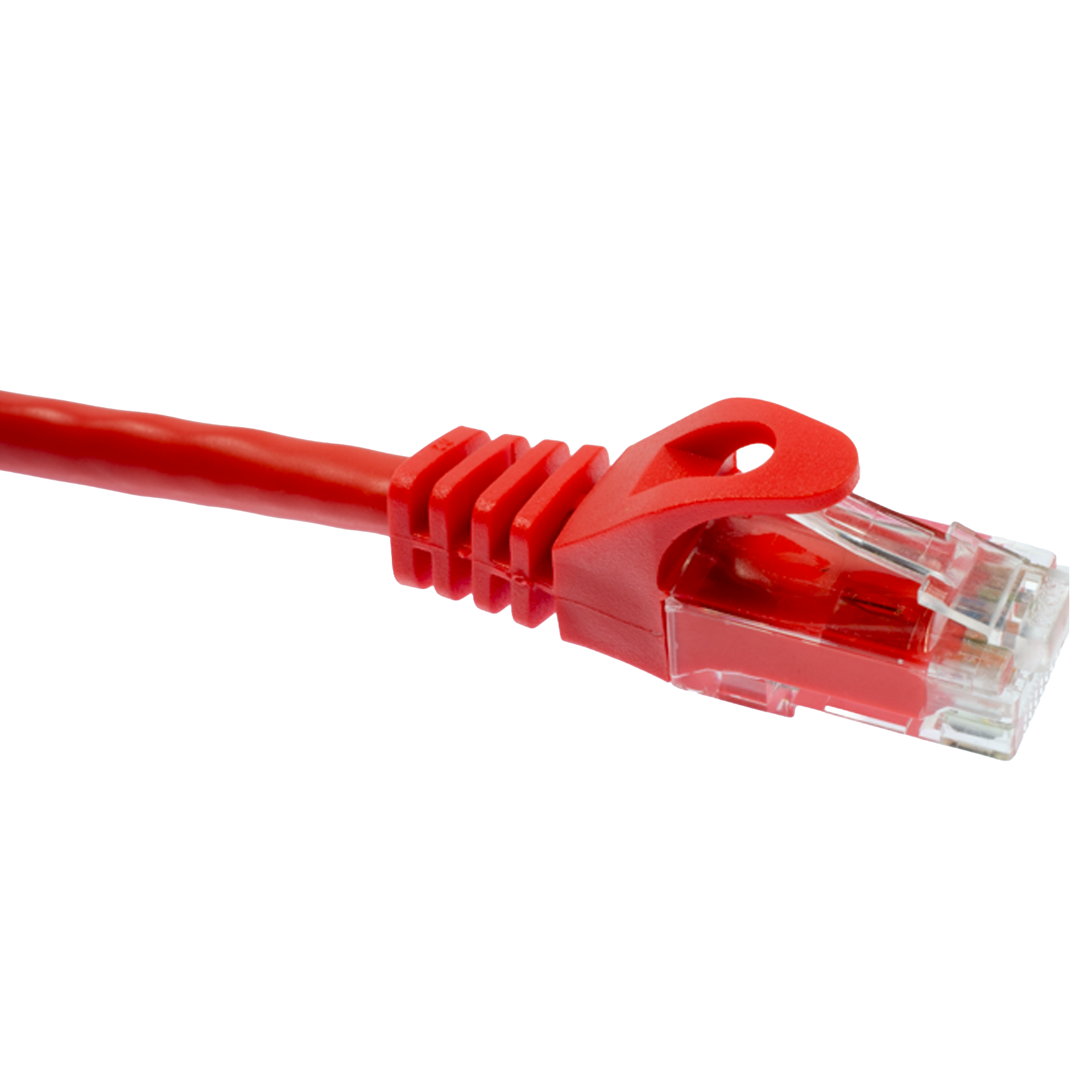 Red Cat5e Ethernet cable with clear connector on a white background