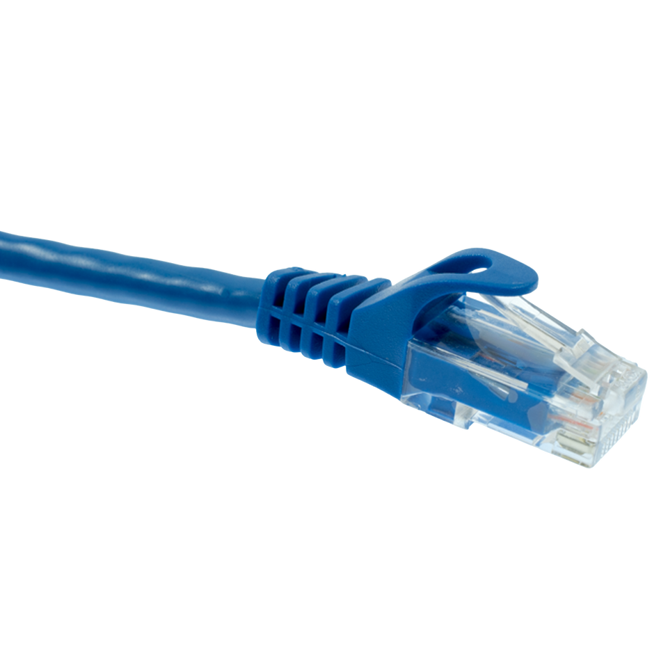 Cat6 Blue Ethernet cable with clear connector on a white background