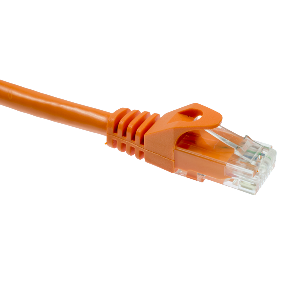 An Orange Cat6 Ethernet cable with clear connector on a white background