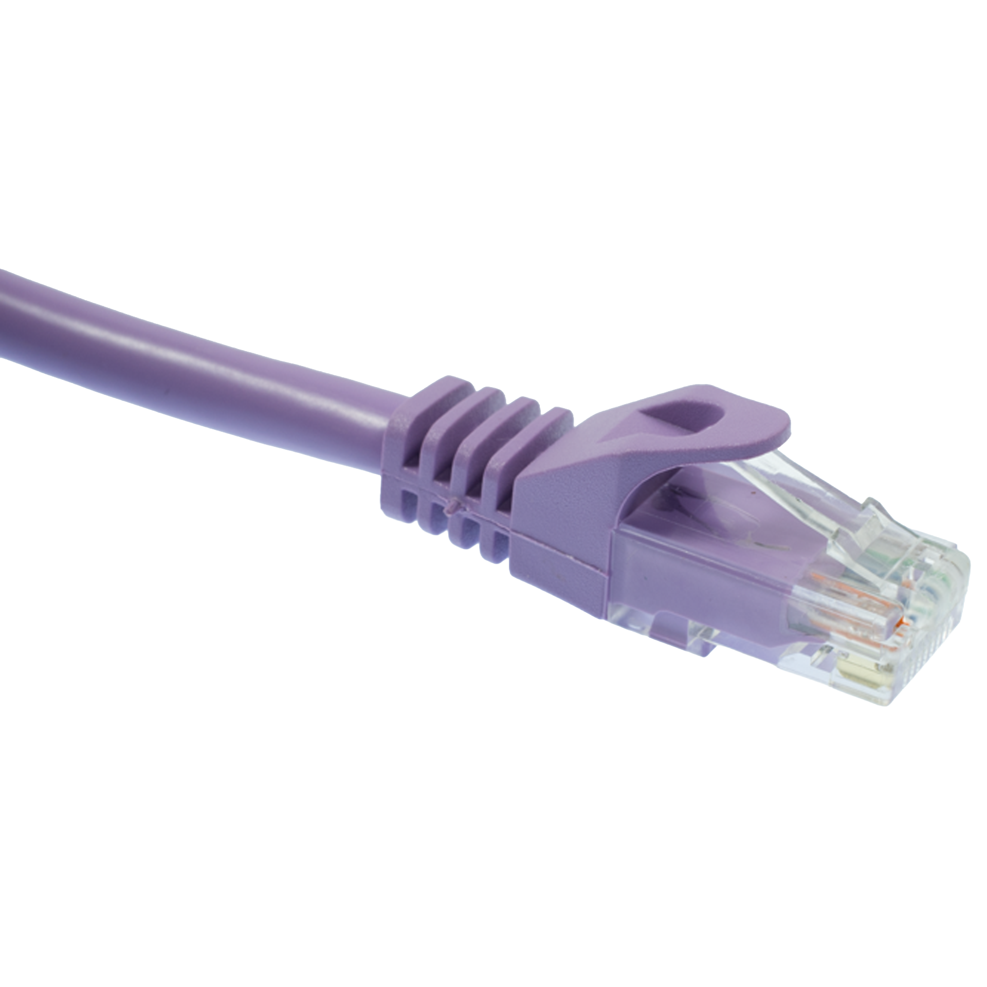 Purple Cat6 Ethernet cable on a white background