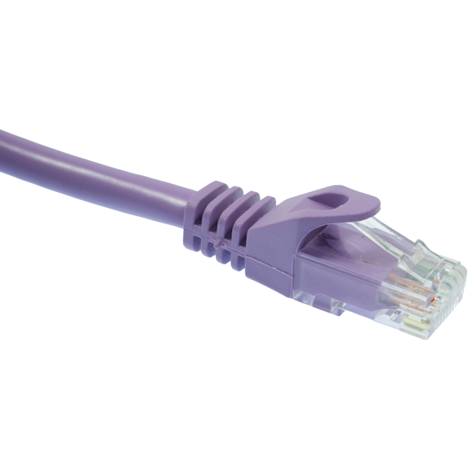 Purple Cat6 Ethernet cable on a white background