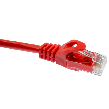 Red Cat6 Ethernet cable with clear connector on a white background