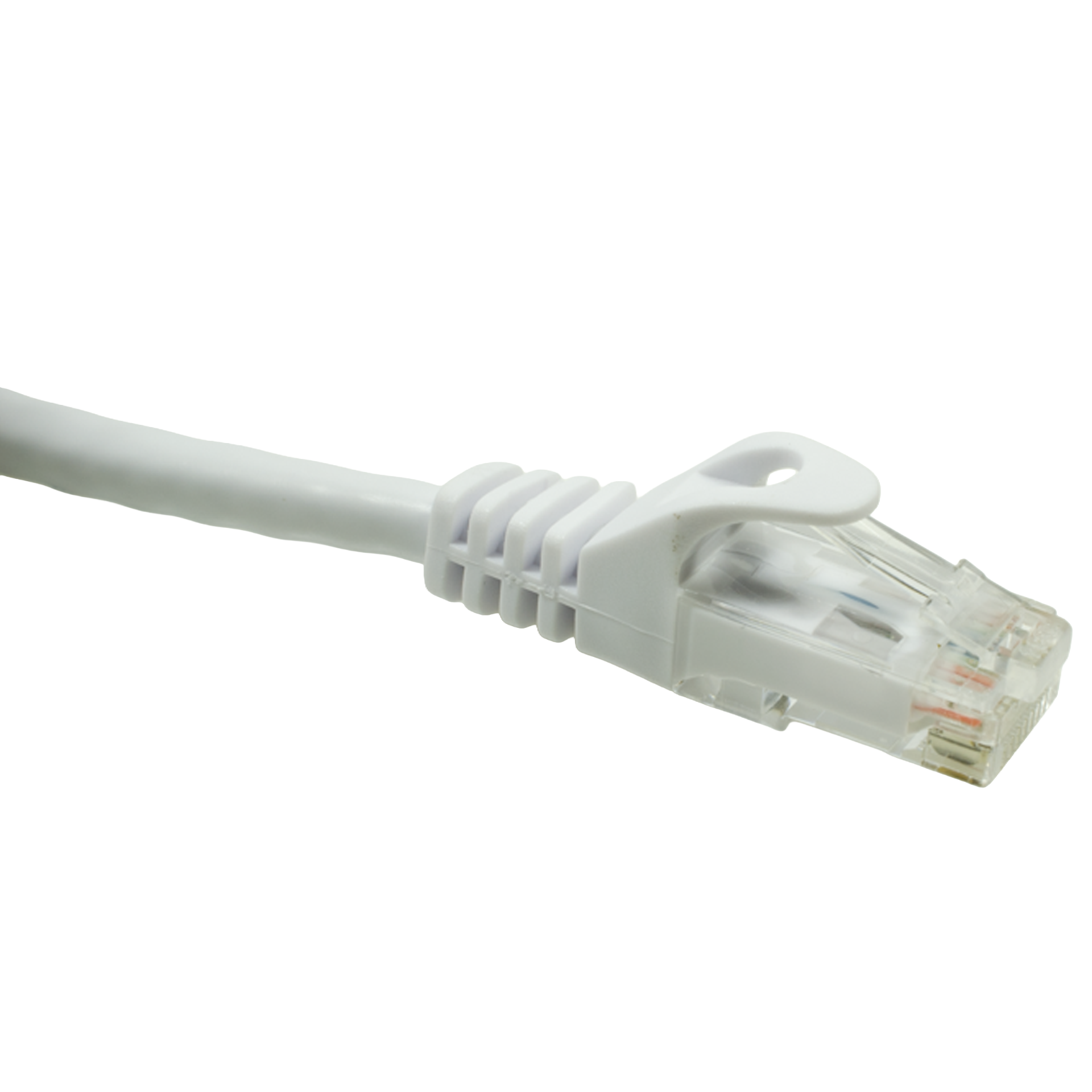 White Cat6 Ethernet cable on a white background