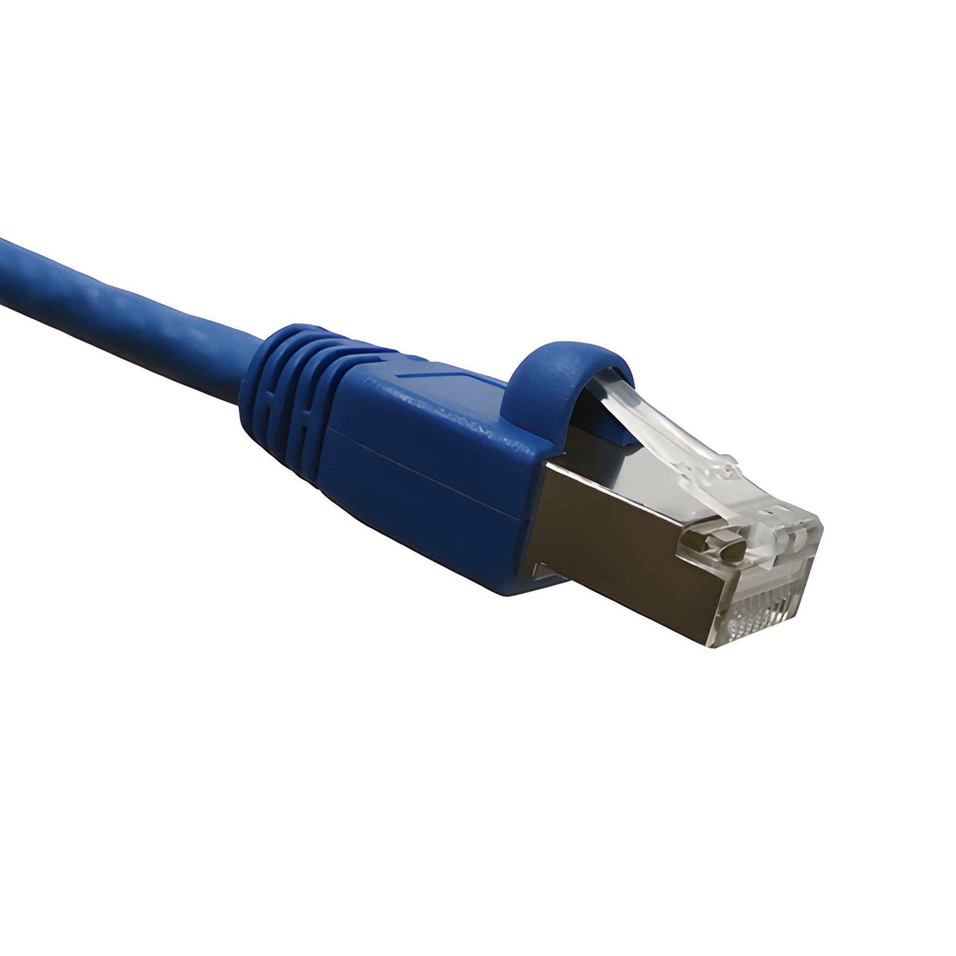 Blue Cat6A double-shielded Ethernet cable with clear connector on a white background