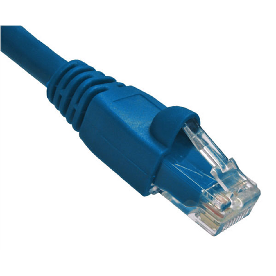 Blue Cat6A Ethernet cable with clear connector on a white background