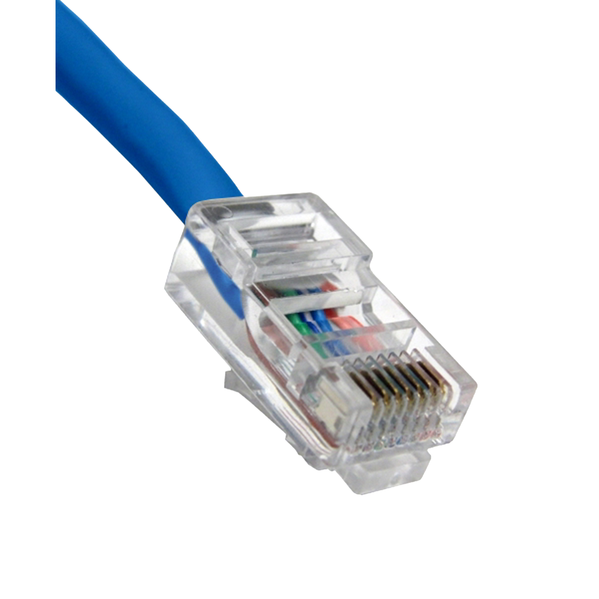 Close-up of a blue cat5e Ethernet cable connector on a white background