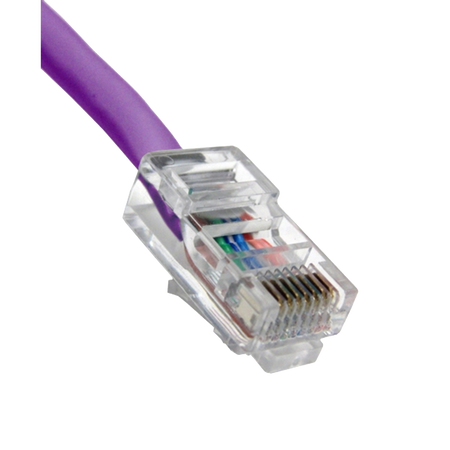 Close-up of a Cat5e purple Ethernet cable connector on a white background