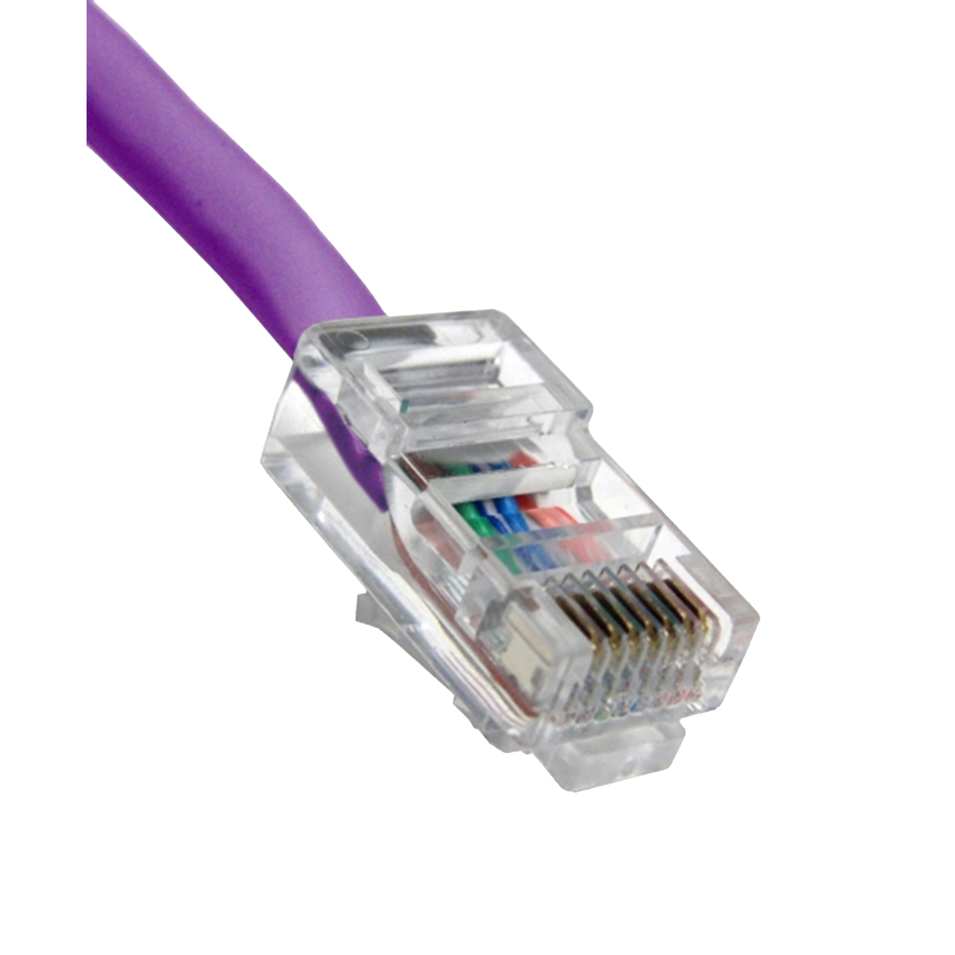 Close-up of a purple Ethernet cable on a white background