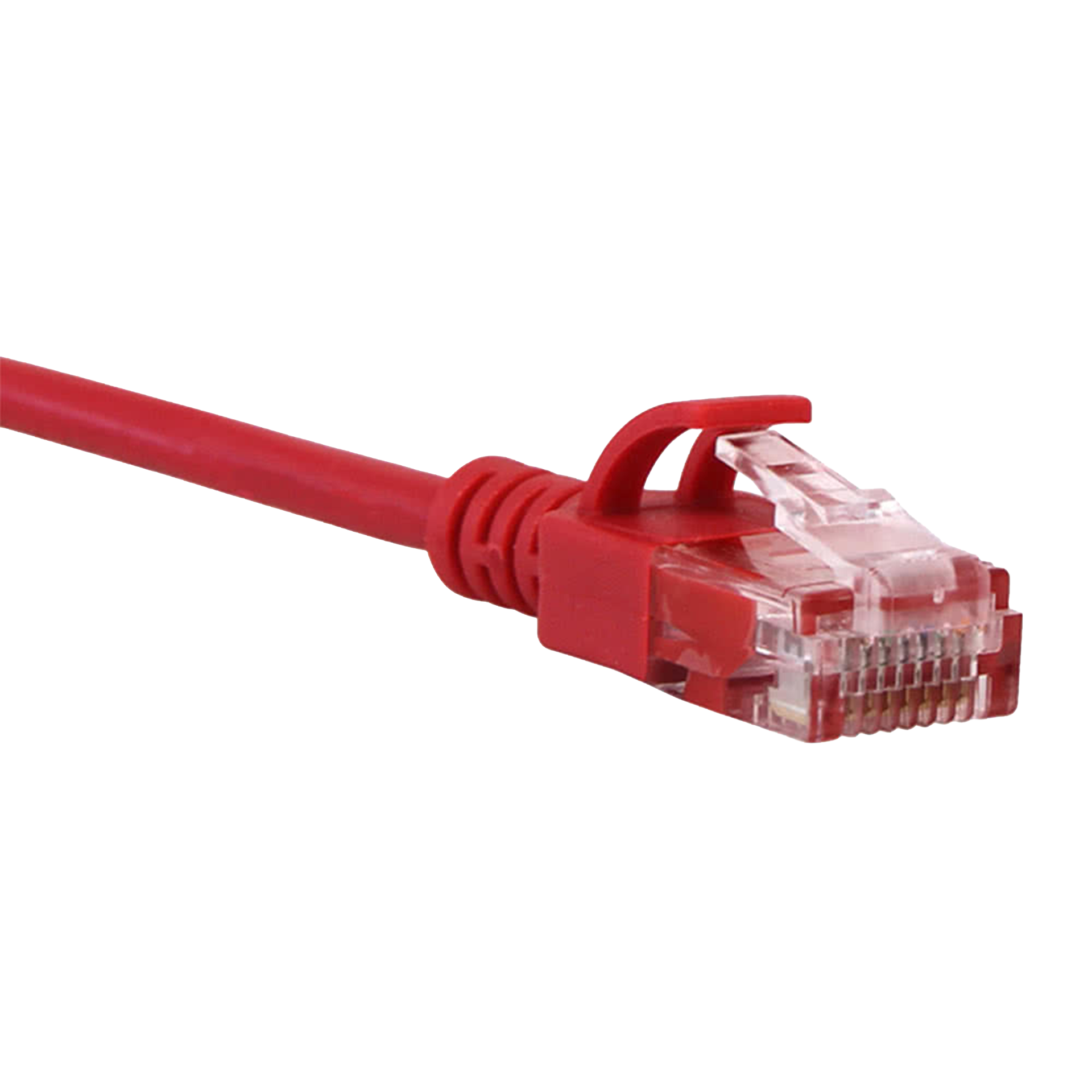 Red Cat6 slim Ethernet cable with clear connector on a white background