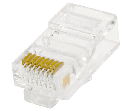 Cat 6 RJ45 plug with gold plated connectors.