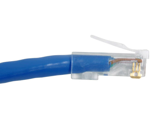 A Cat6 RJ45 plug installed on a blue network cable.